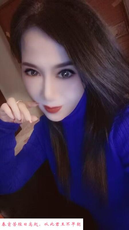 气质美妇 第1张