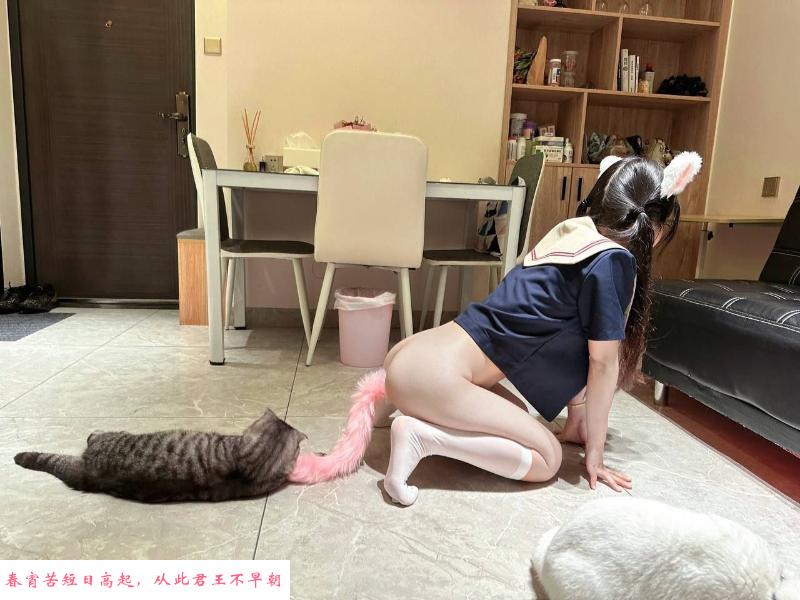 成都夏可可 第3张