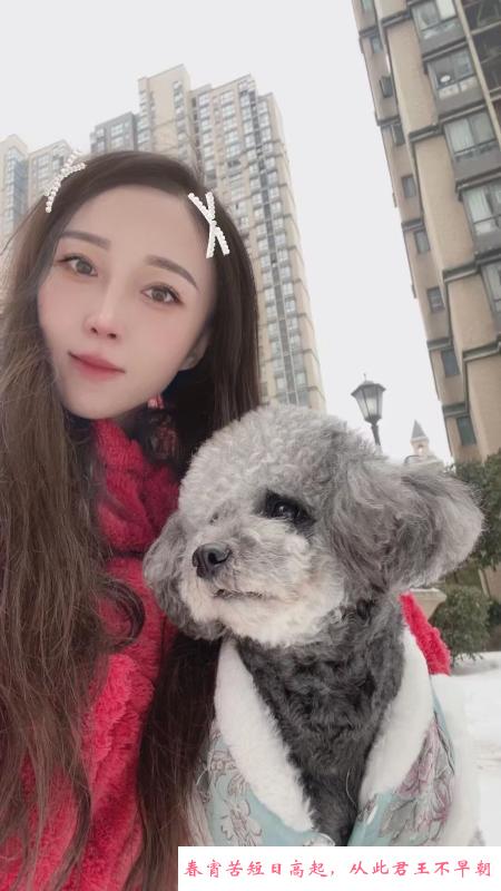武汉小姐姐 第2张