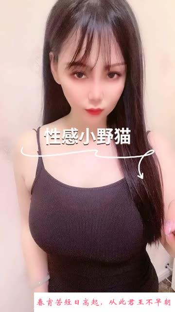 洪山区小野猫 第1张