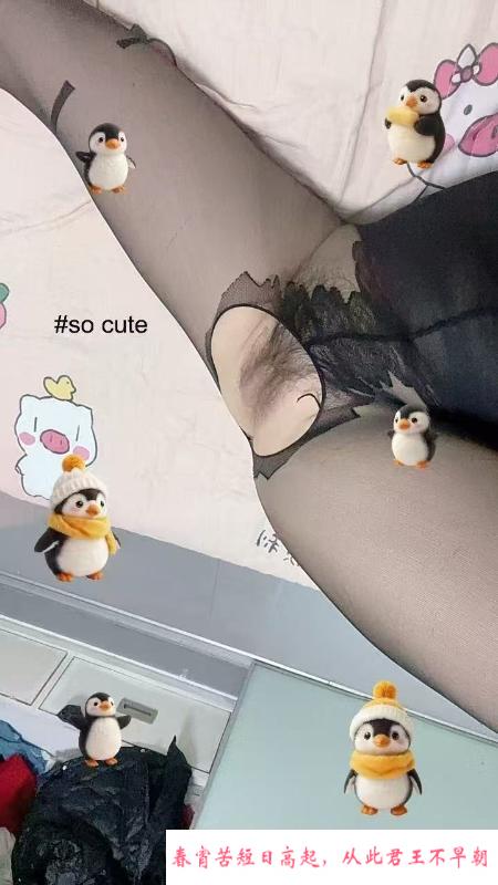 罗湖美胸冬儿 第3张